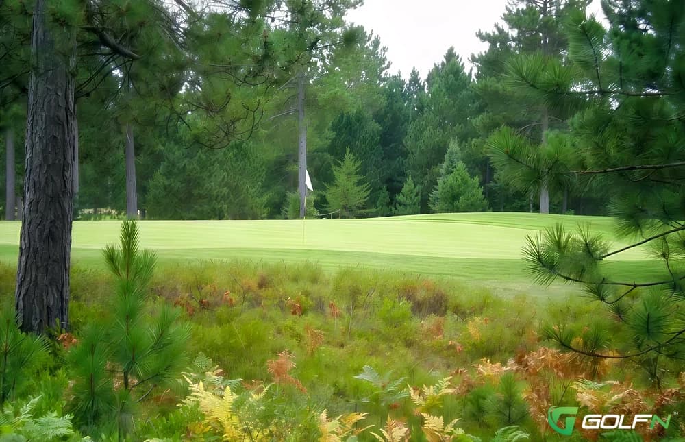 Hill - Moose Run Golf Course in Fort Richardson, Alaska — military, 36-hole golf course, designed by Bruce Matthews III (1992)