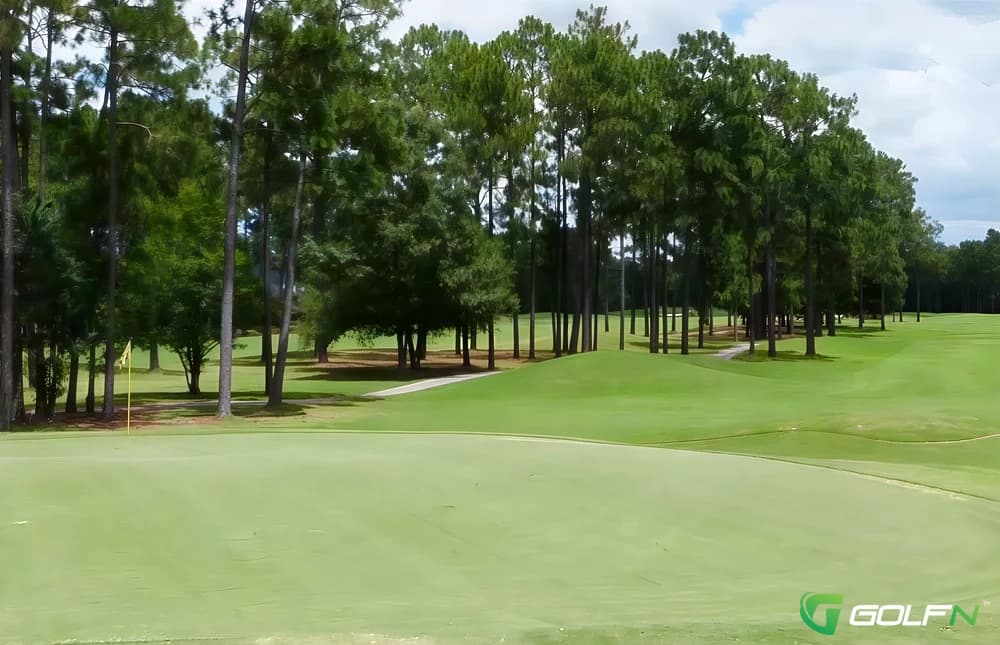 The Club At Pine Forest in Summerville, South Carolina — semi-private, 18-hole golf course, designed by Bob Spence
