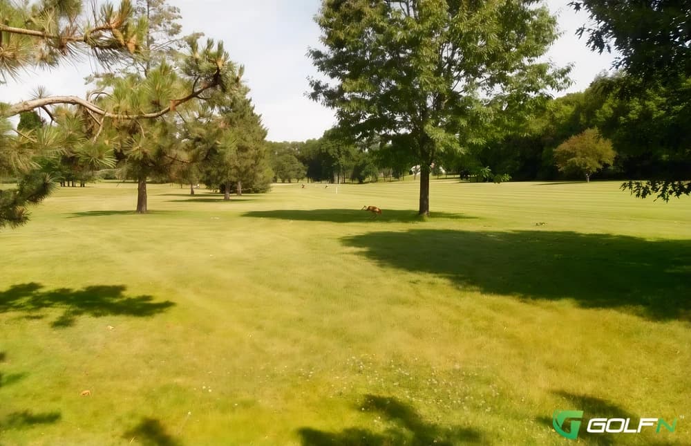 Odana Hills Golf Course in Madison, Wisconsin — public, 18-hole golf course