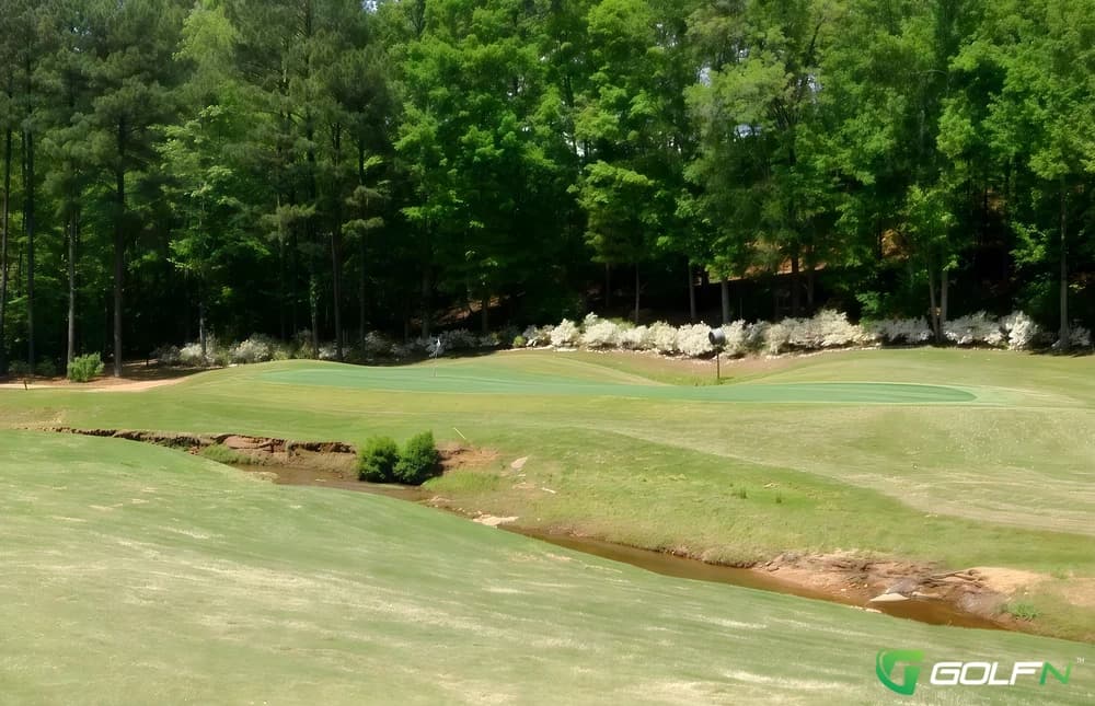 Lion Golf Club in Bremen, Georgia — semi-private, 18-hole golf course, designed by Arthur Davis (2001)